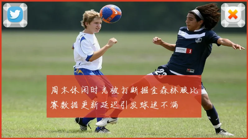 周末休闲时光被打断掘金森林狼比赛数据更新延迟引发球迷不满