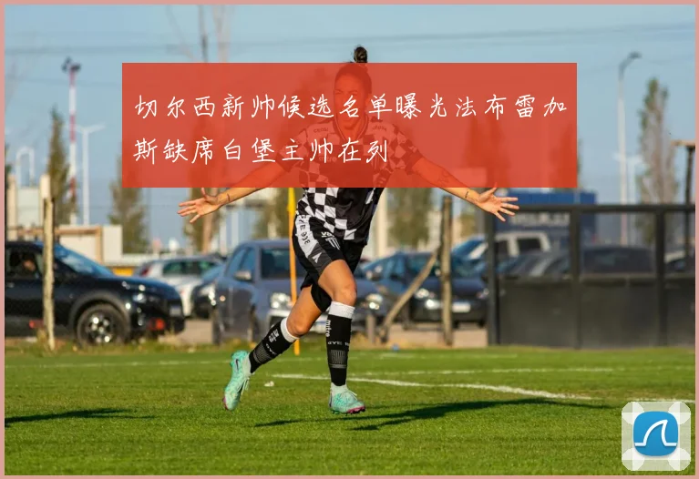 切尔西新帅候选名单曝光法布雷加斯缺席白堡主帅在列
