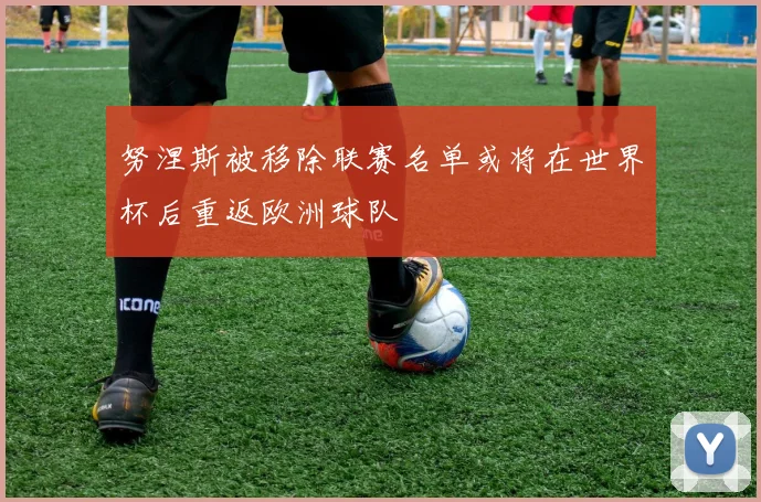 努涅斯被移除联赛名单或将在世界杯后重返欧洲球队