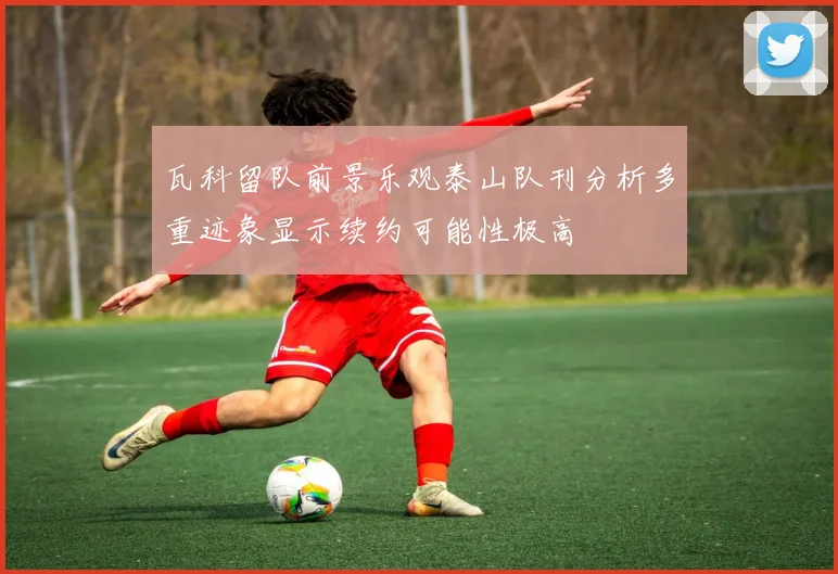 瓦科留队前景乐观泰山队刊分析多重迹象显示续约可能性极高