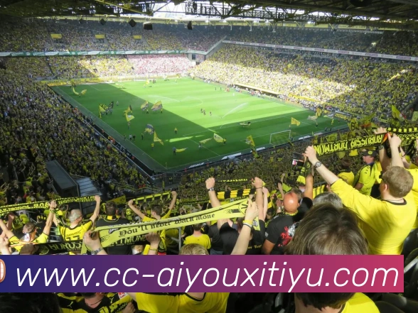 爱游戏体育APP 高清赛事图